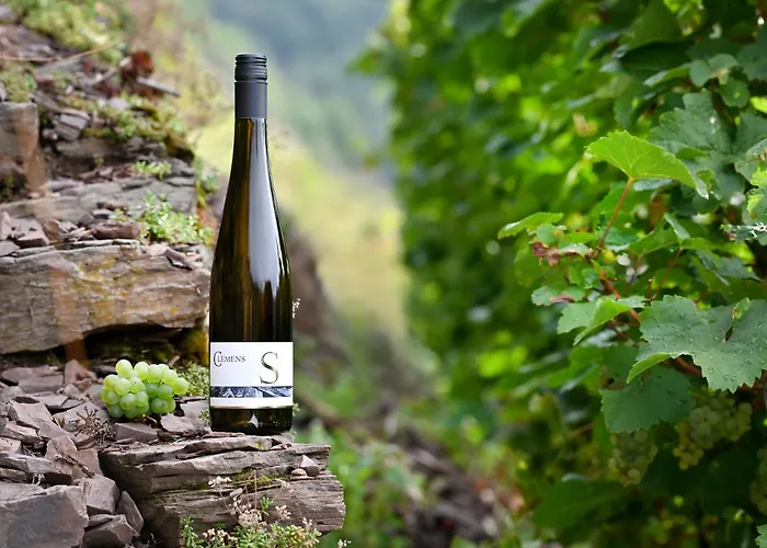 Weingut Clemens