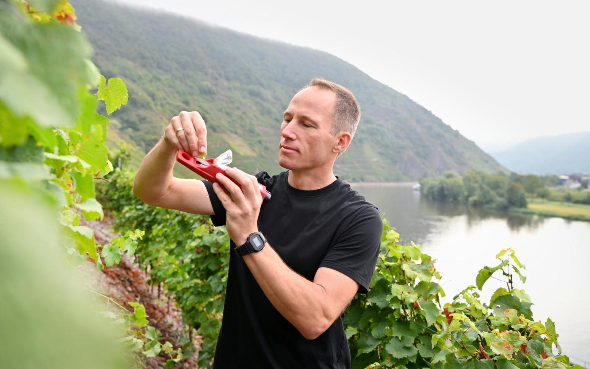 Weingut Clemens Affittacamere 3*