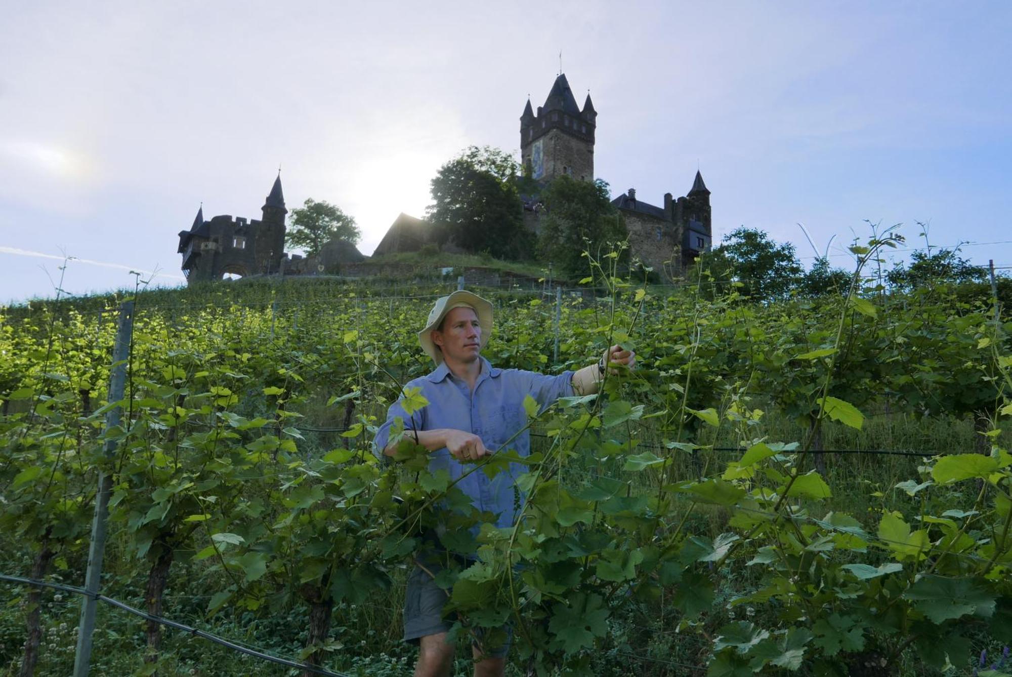 Weingut Clemens